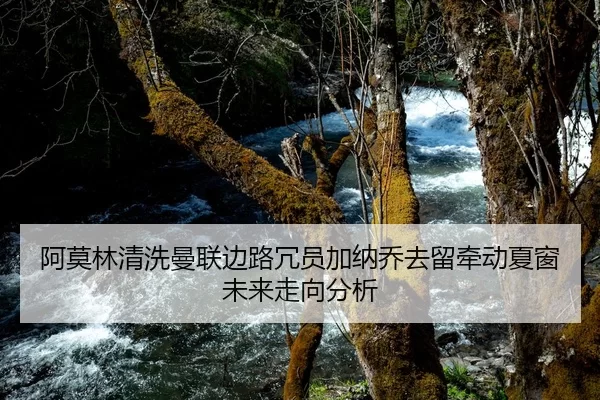 阿莫林清洗曼联边路冗员加纳乔去留牵动夏窗未来走向分析