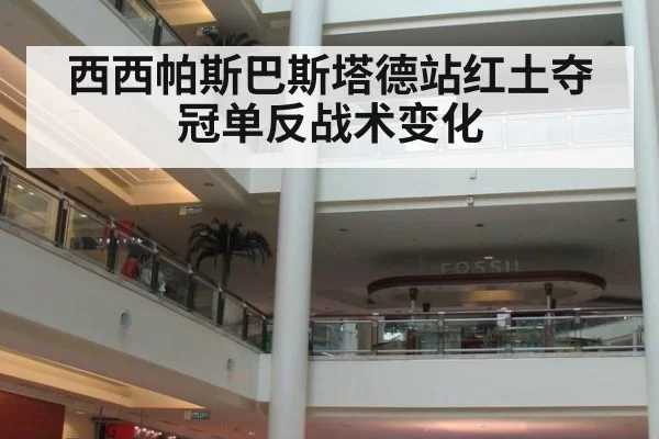 西西帕斯巴斯塔德站红土夺冠单反战术变化